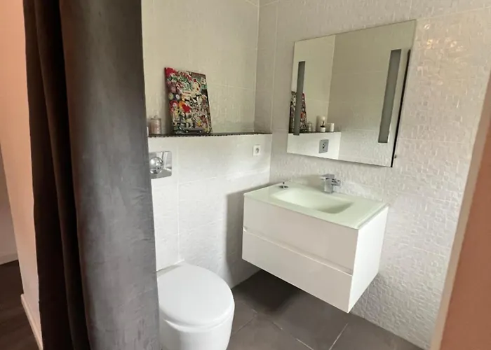 Appartement T2 En Bas De Avec Jardin